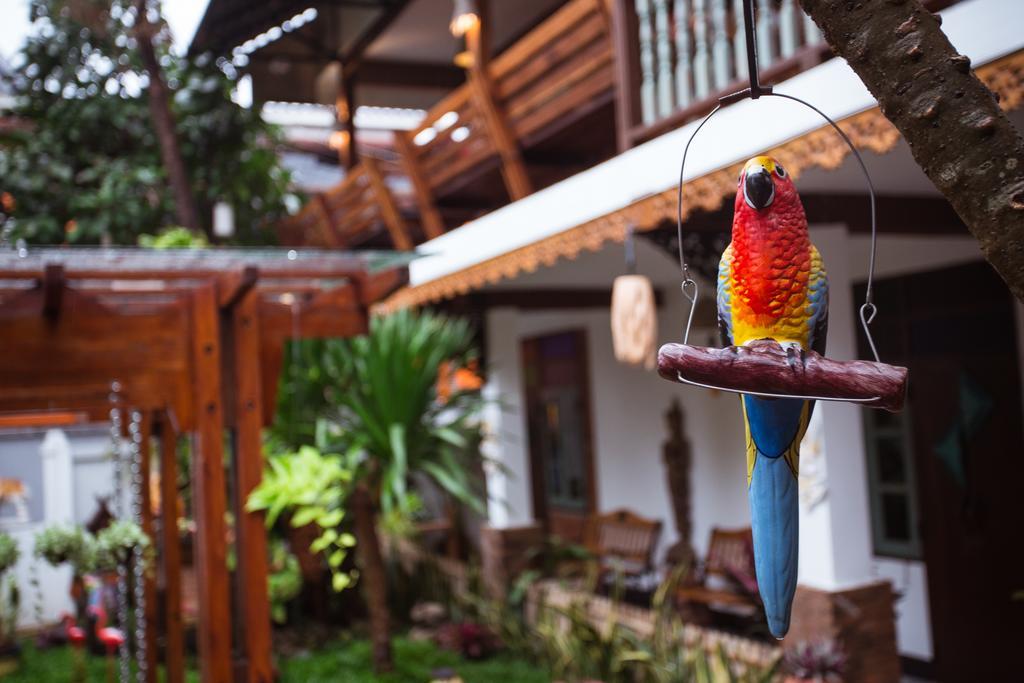 Pao Come Boutique House (Adults Only) Chiang Mai Dış mekan fotoğraf